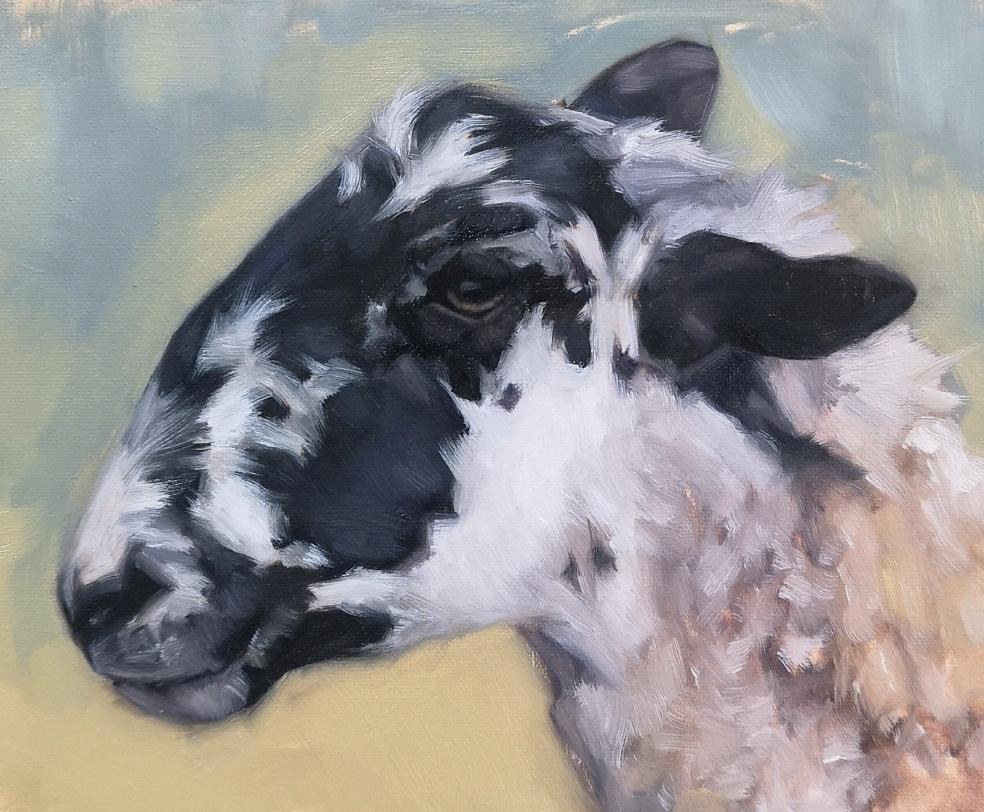 Scottish Mule Sheep - Original Oil Painting