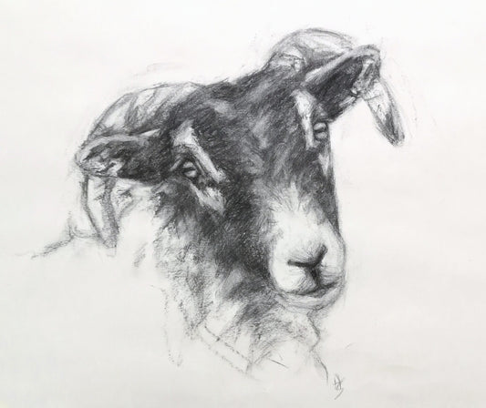 Original Charcoal Drawing - 'Larry'