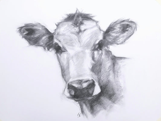 Original Charcoal Drawing - 'Daisy'