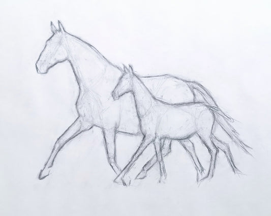 Original Charcoal Drawing - Mare & Foal