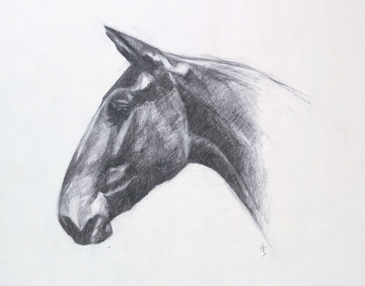 Original Horse Charcoal Drawing - 'Reina'