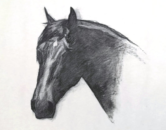 Original Charcoal Drawing - 'Ruso'