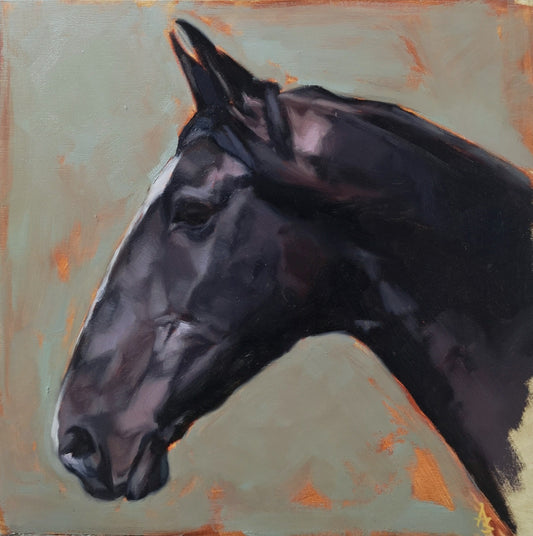 'Ebony' Lusitano Horse - Original Oil Painting
