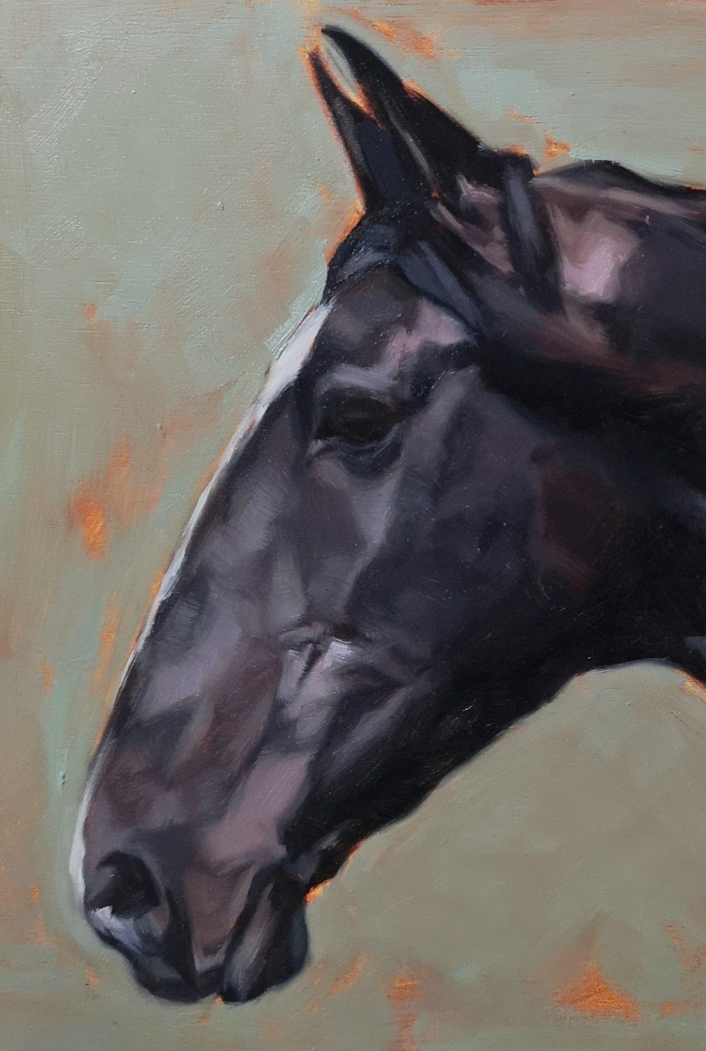 'Ebony' Lusitano Horse - Original Oil Painting