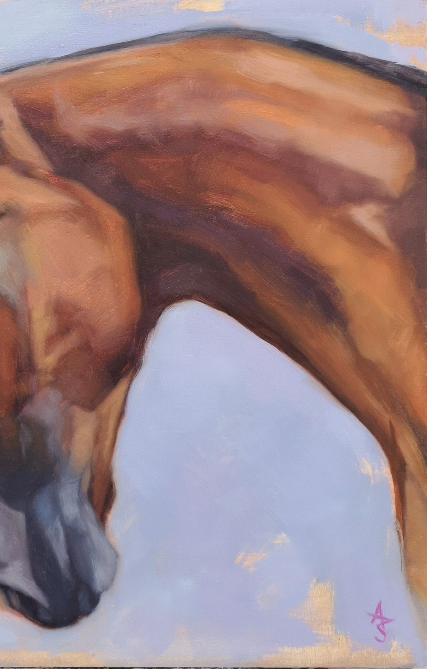 'Amber' Lusitano Horse - Original Oil Painting