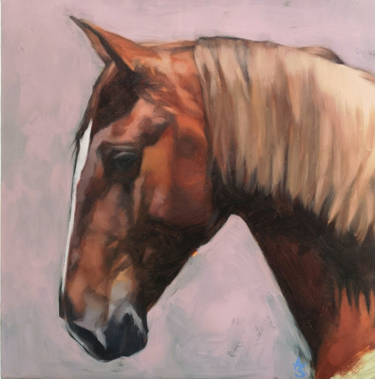 'Onyx' Lusitano Horse - Original Oil Painting