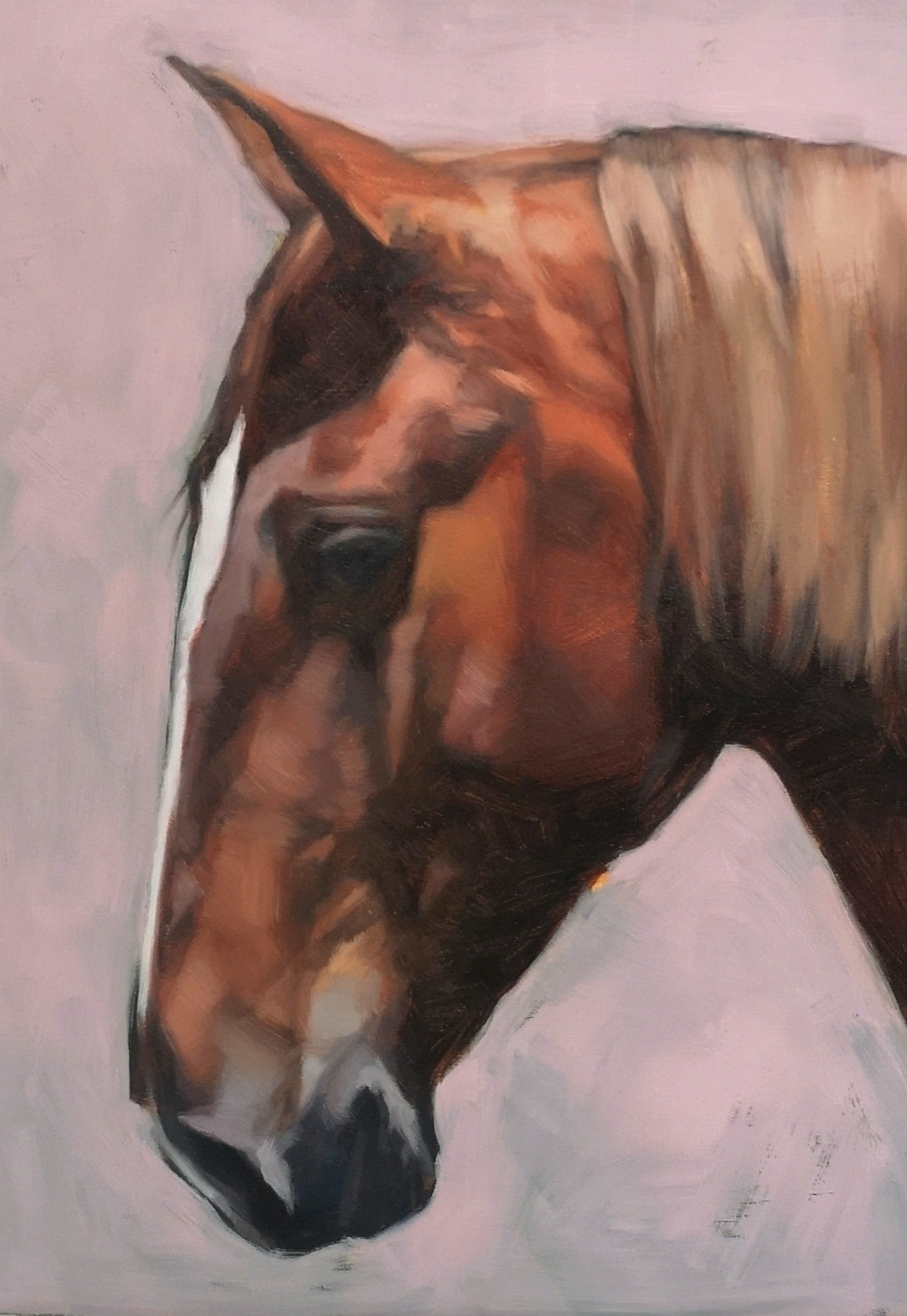 'Onyx' Lusitano Horse - Original Oil Painting
