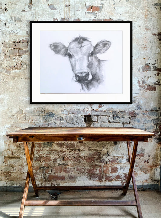 Original Charcoal Drawing - 'Daisy'