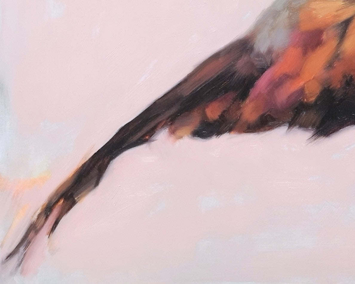 'Pheasant in Flight'- Original Oil Painting