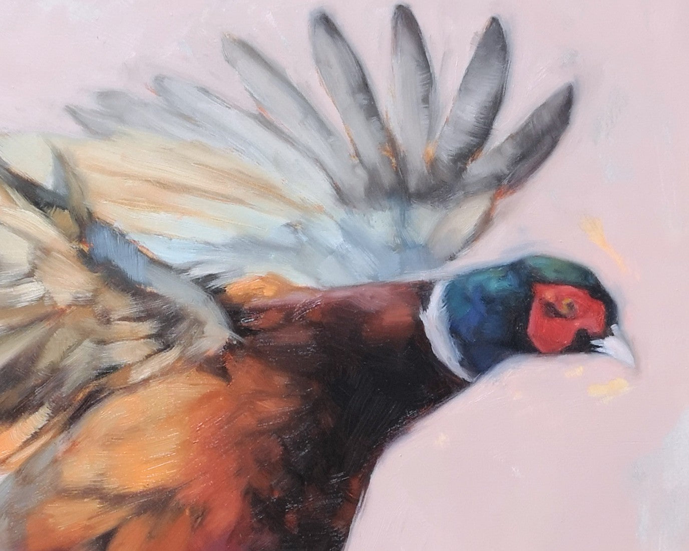'Pheasant in Flight'- Original Oil Painting