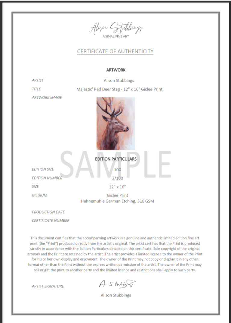 'Majestic' Red Deer Stag - 12" x 16" Giclee Print