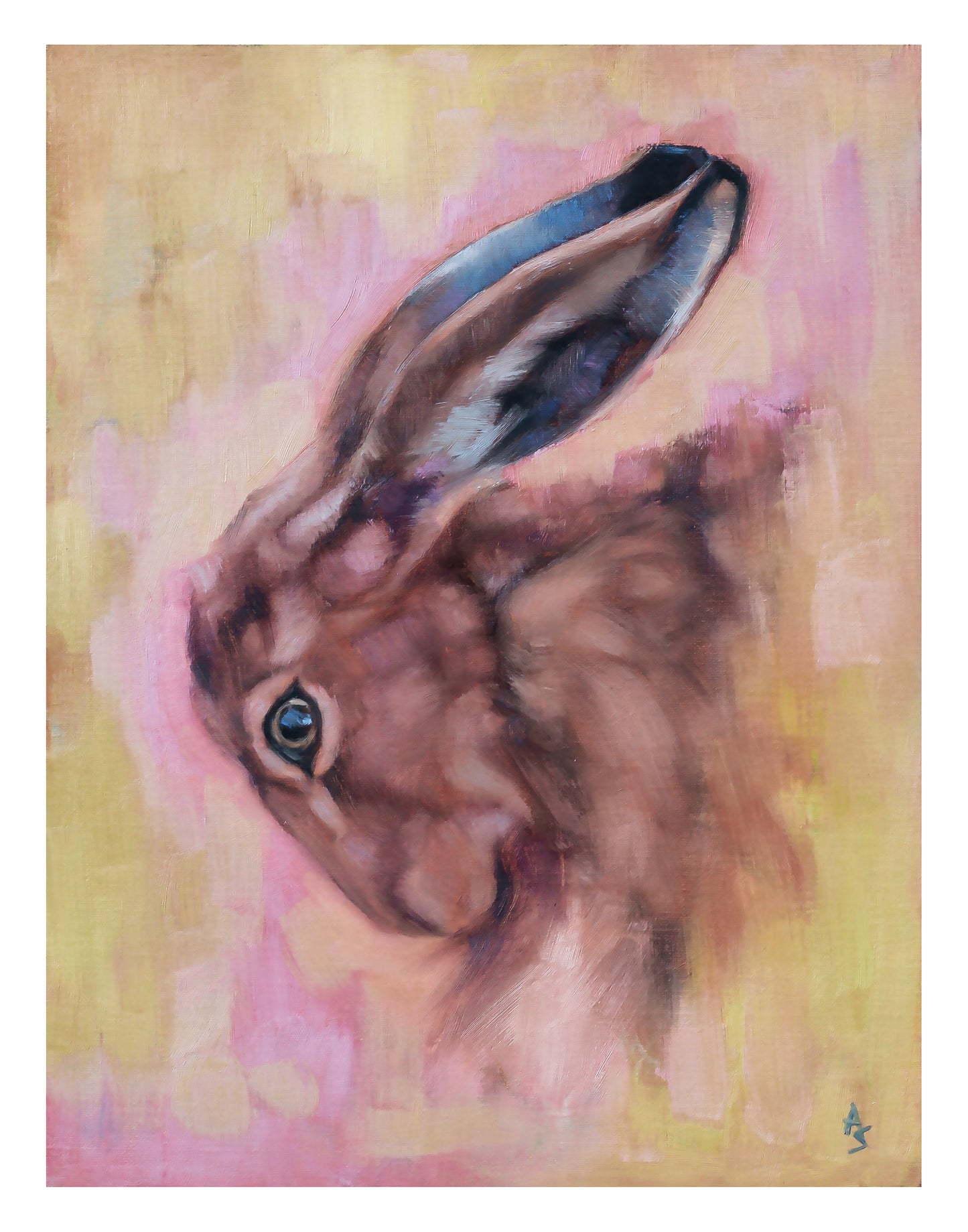 'Bunny Hare' - 11" x 14" Fine Art Print