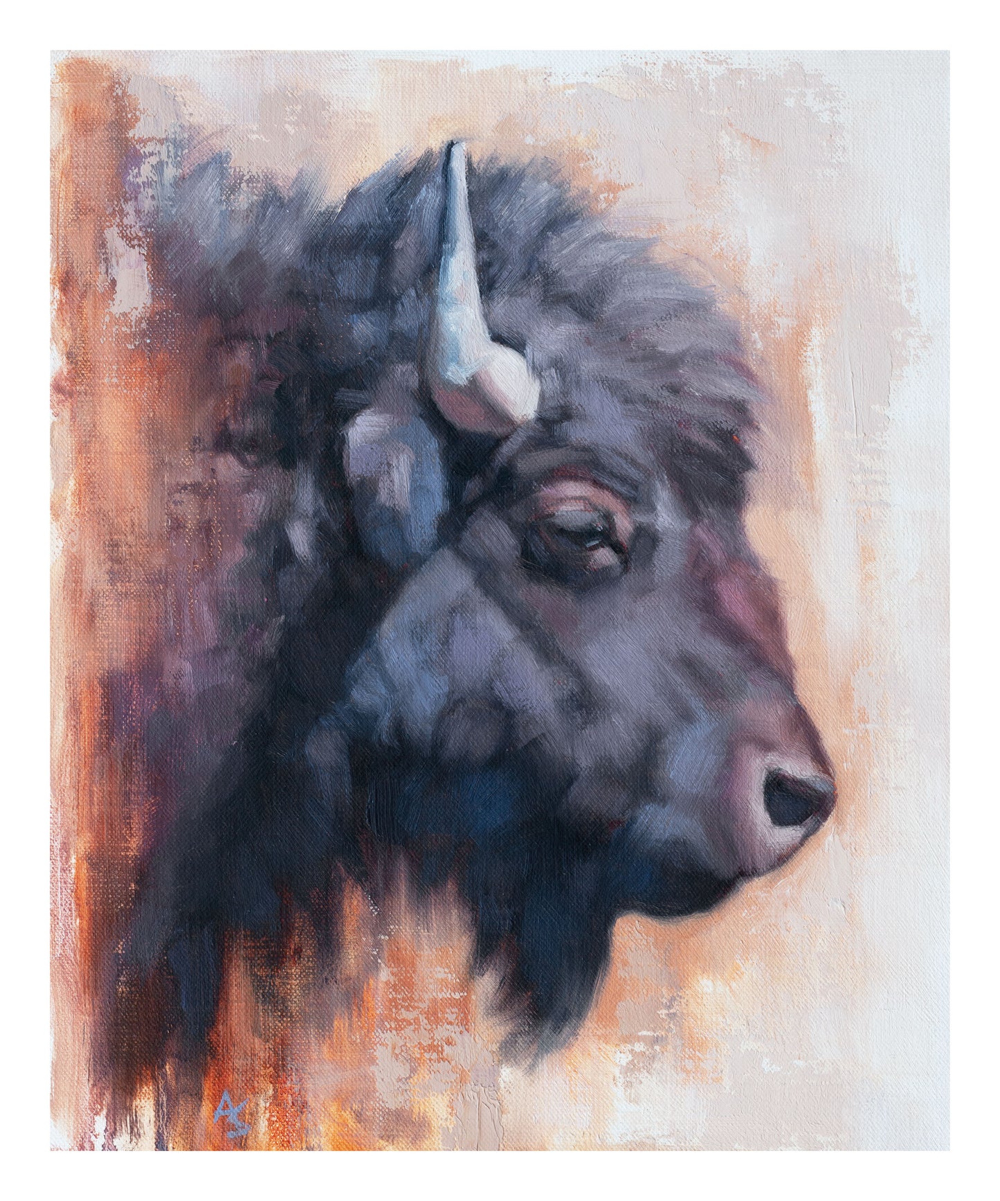'Little Bison' - 10" x 12" Fine Art Print