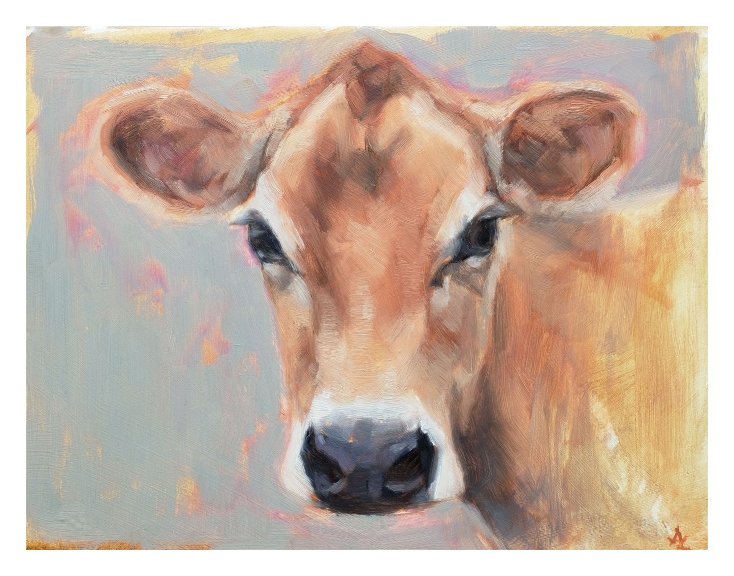 'Buttercup' Jersey Cow - 11" x 14" Giclee Print
