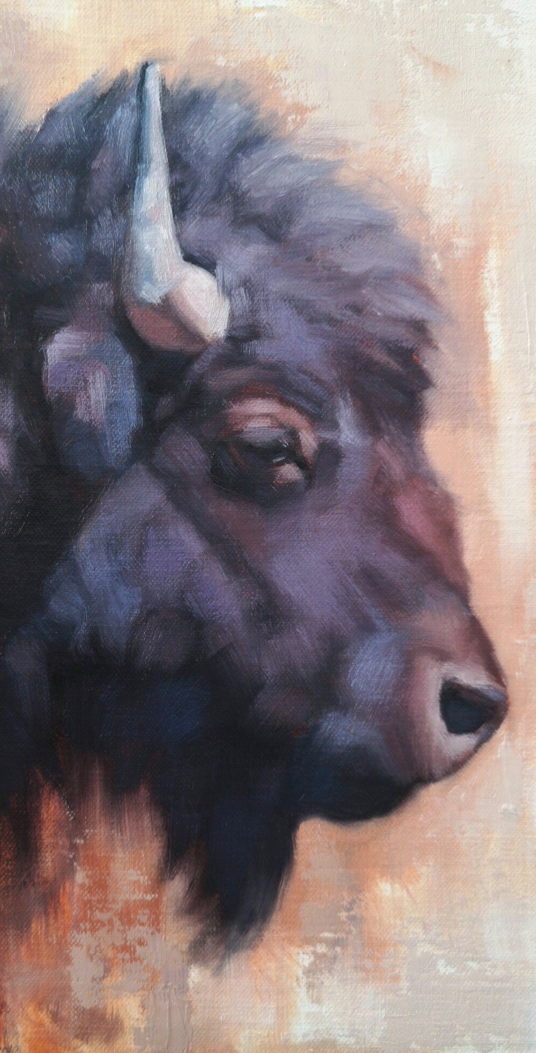 'Little Bison'- Original Oil Painting