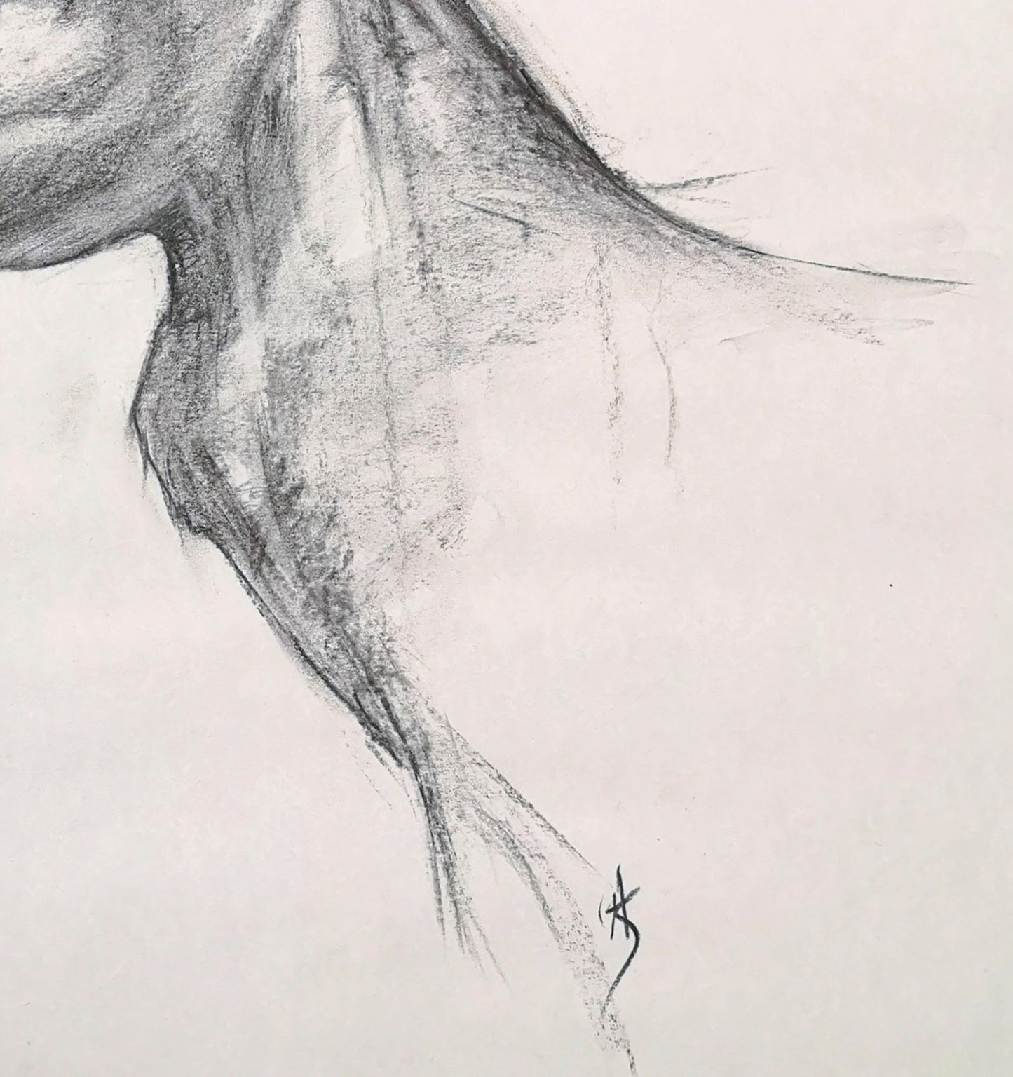 Original Red Stag Charcoal Drawing