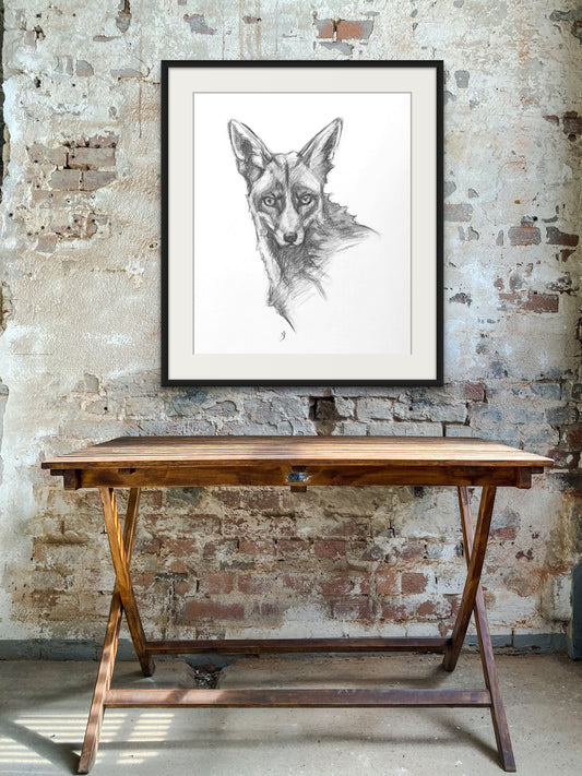 Original Charcoal Drawing - Red Fox