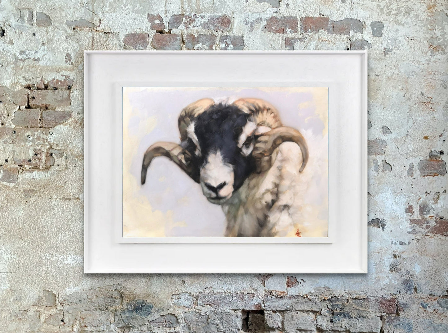 Swaledale Sheep - Original Oil Painting