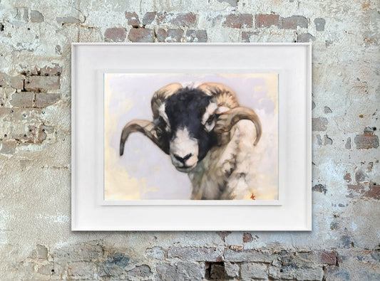 Swaledale Sheep - Original Oil Painting