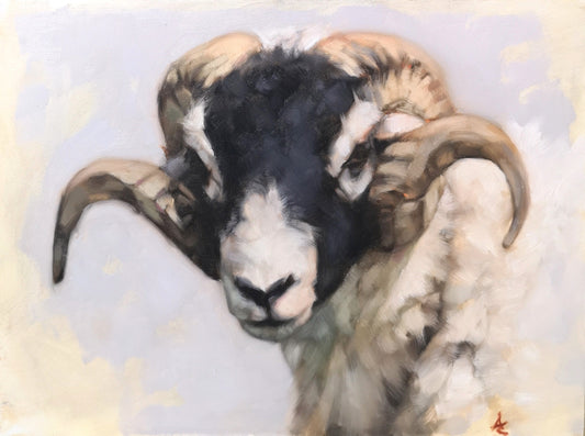 Swaledale Sheep - Original Oil Painting