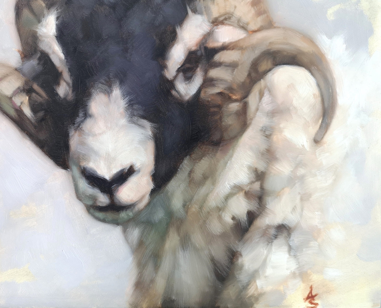 Swaledale Sheep - Original Oil Painting