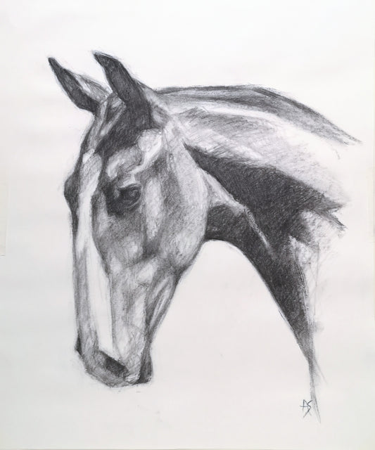 Original Charcoal Drawing - 'Vito'
