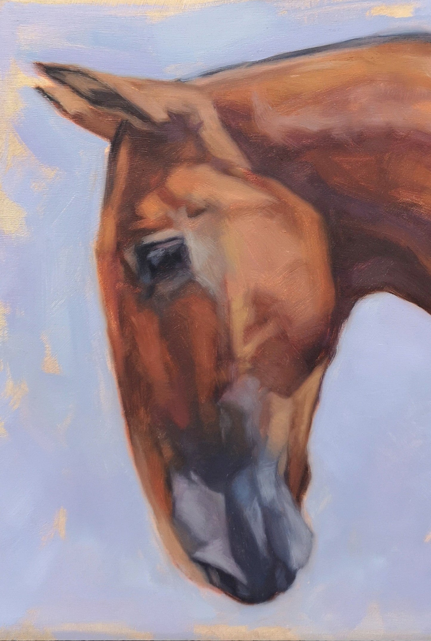 'Amber' Lusitano Horse - Original Oil Painting