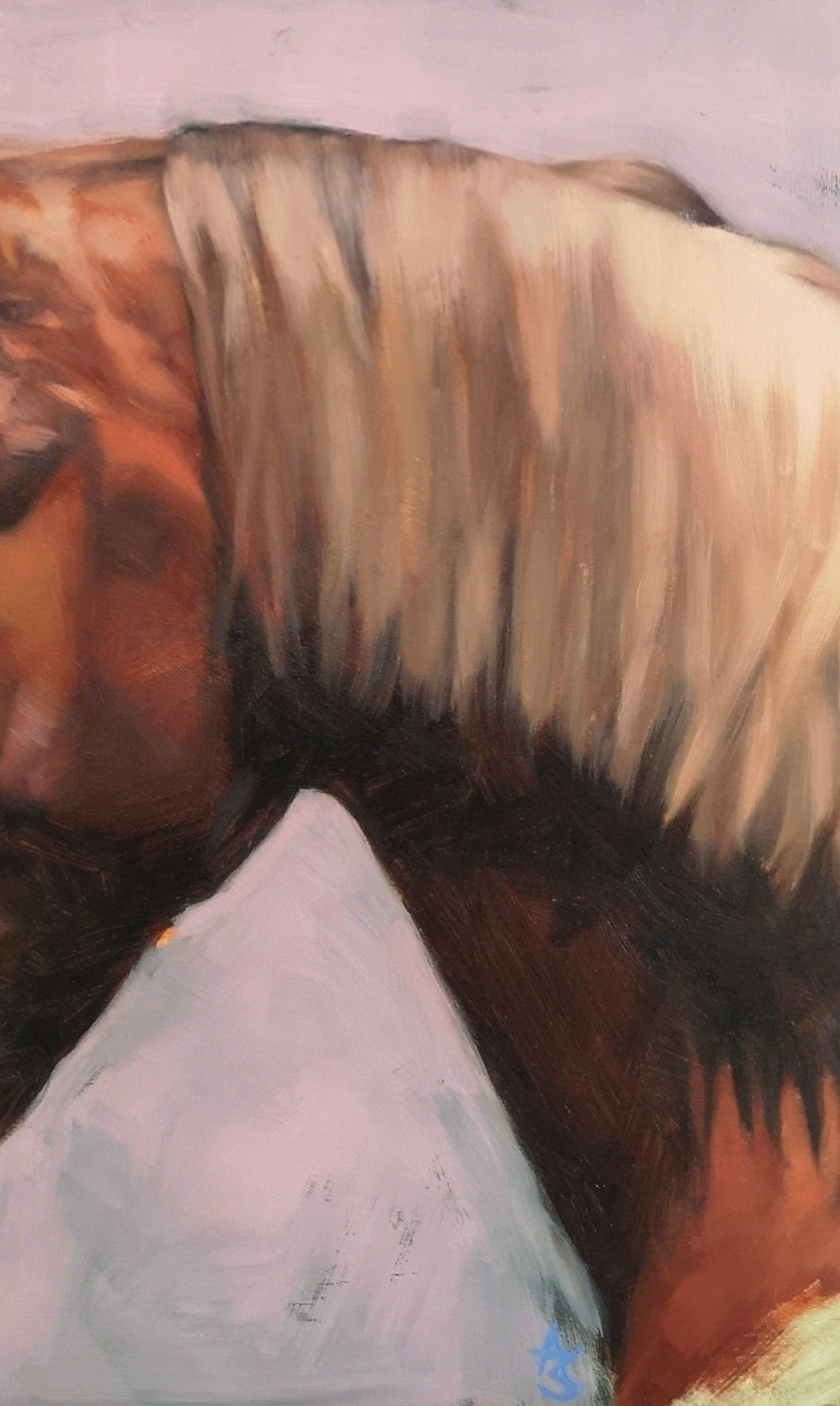 'Onyx' Lusitano Horse - Original Oil Painting