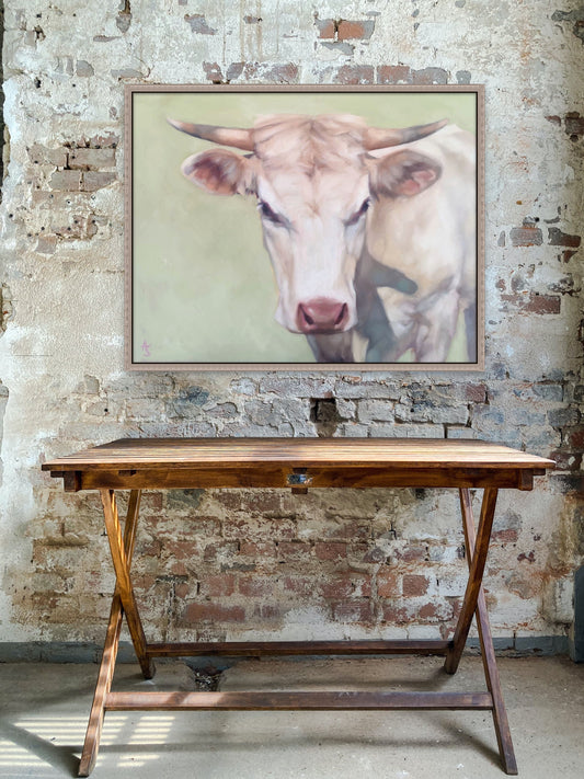 Charolais Cow - Original Oil Painting