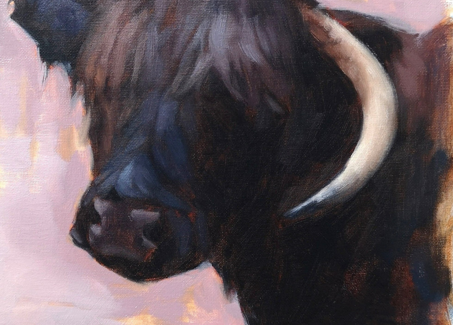 Highland Cow - Original Oil Painting