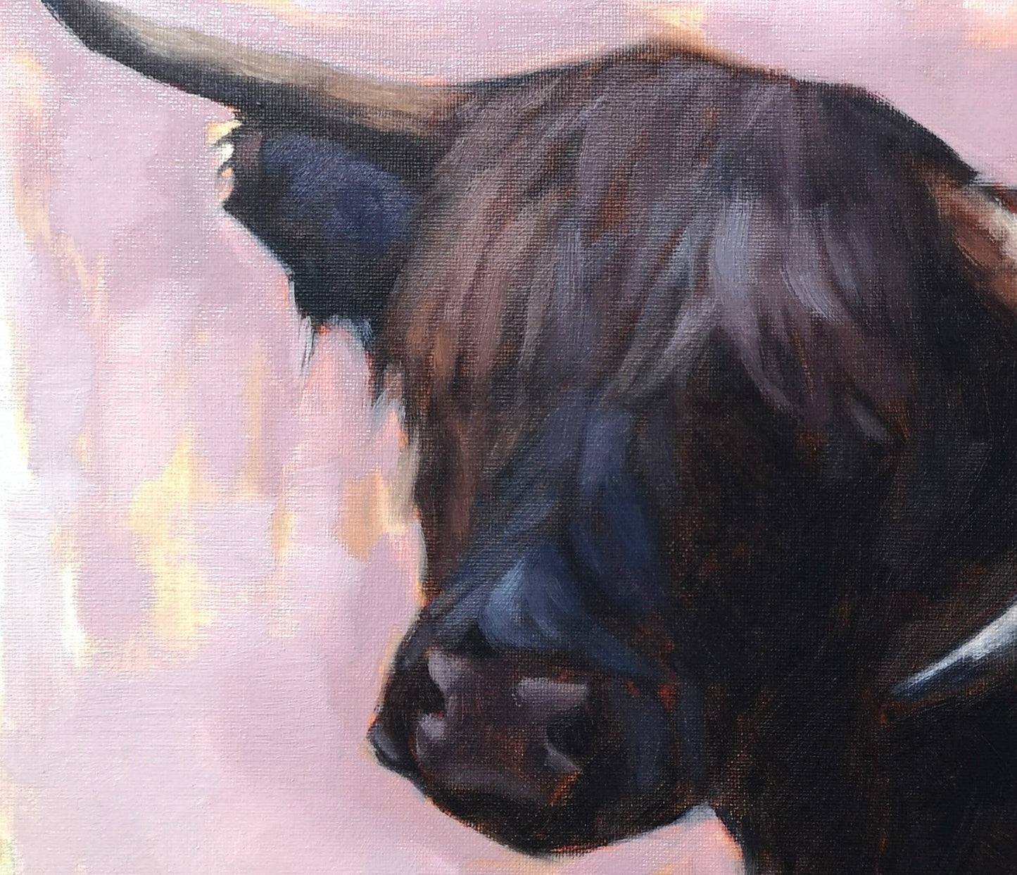 Highland Cow - Original Oil Painting