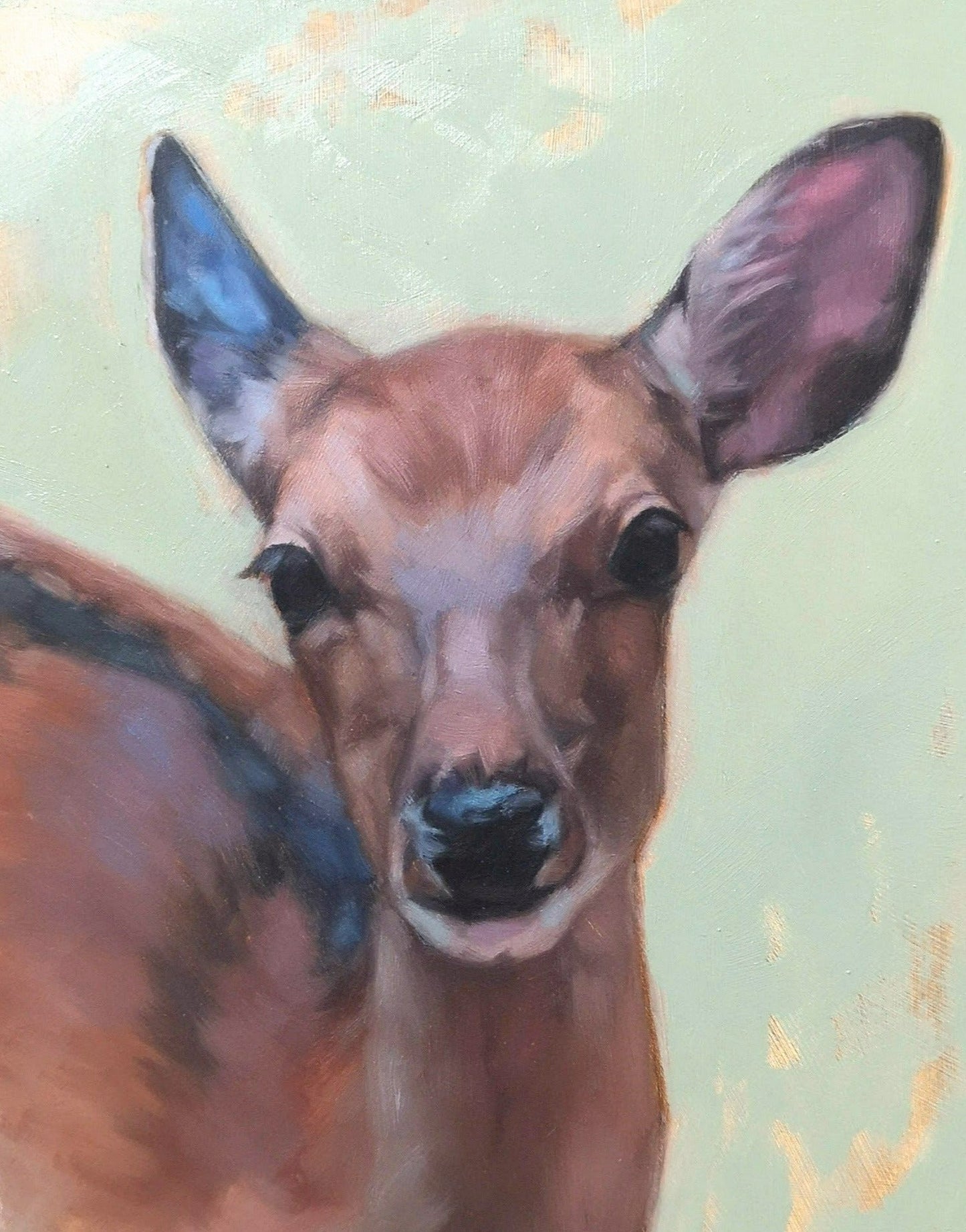 'Curious Fawn' - Original Oil Painting