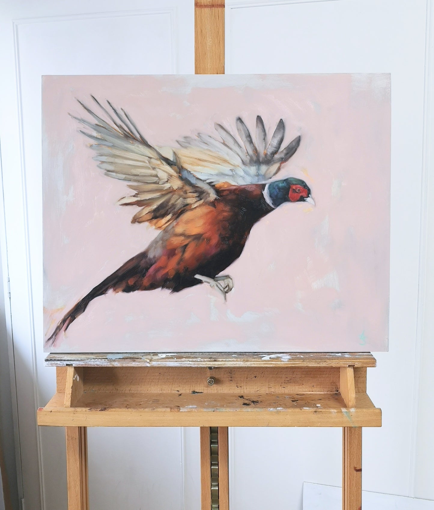 'Pheasant in Flight'- Original Oil Painting