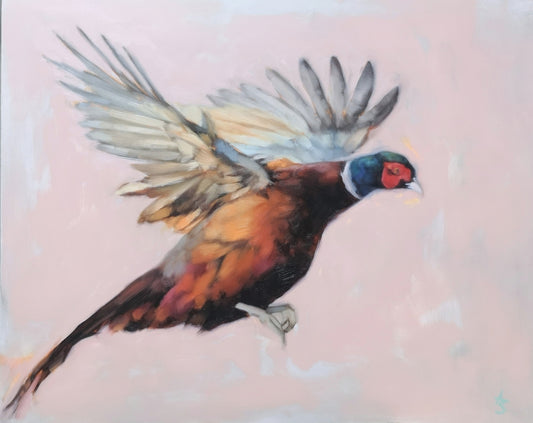 'Pheasant in Flight'- Original Oil Painting
