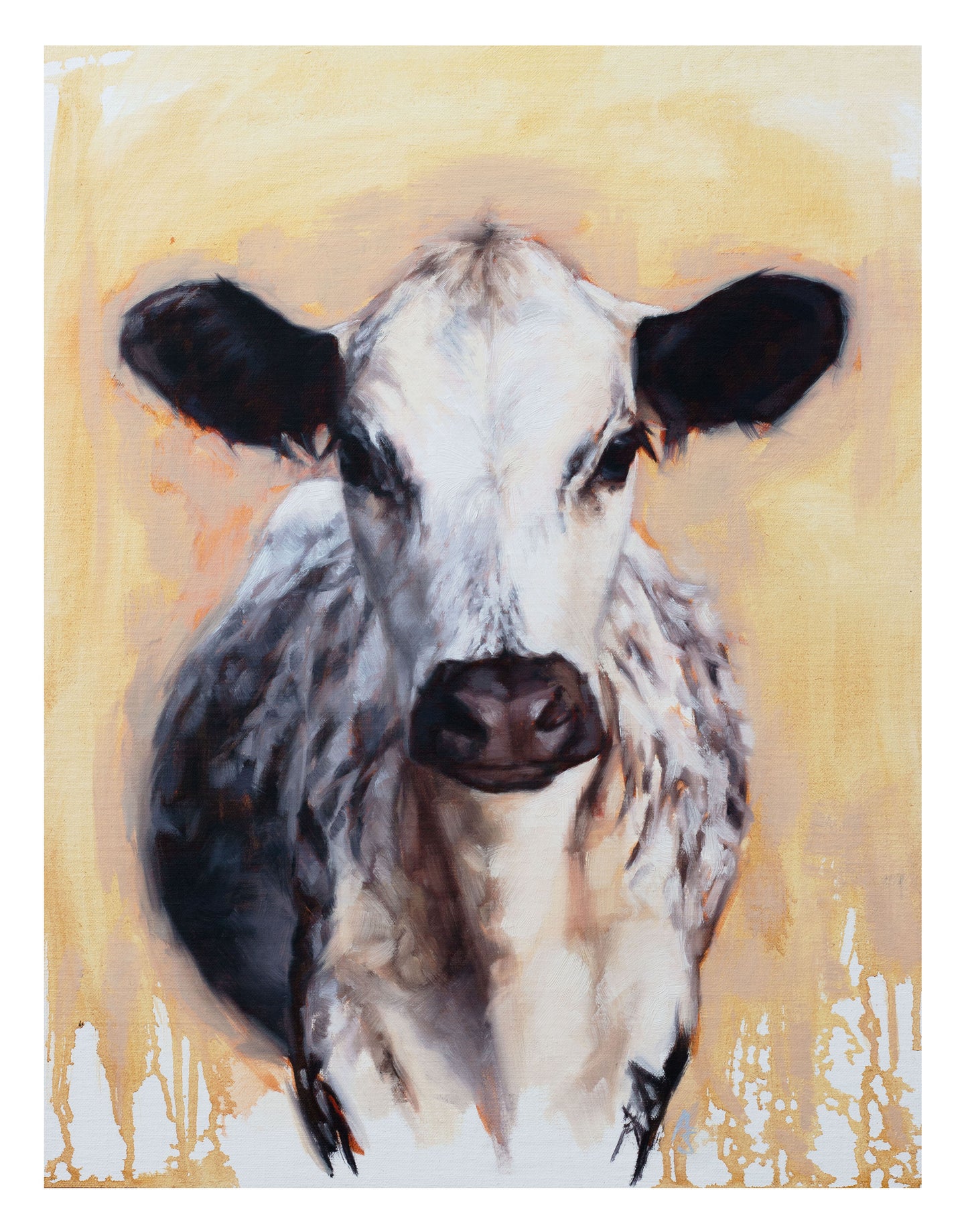 'Speckle Park' Cow - 16" x 20" Giclee Print