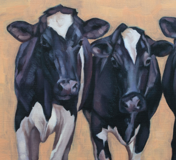 'Three Cows' - Original Oil Painting