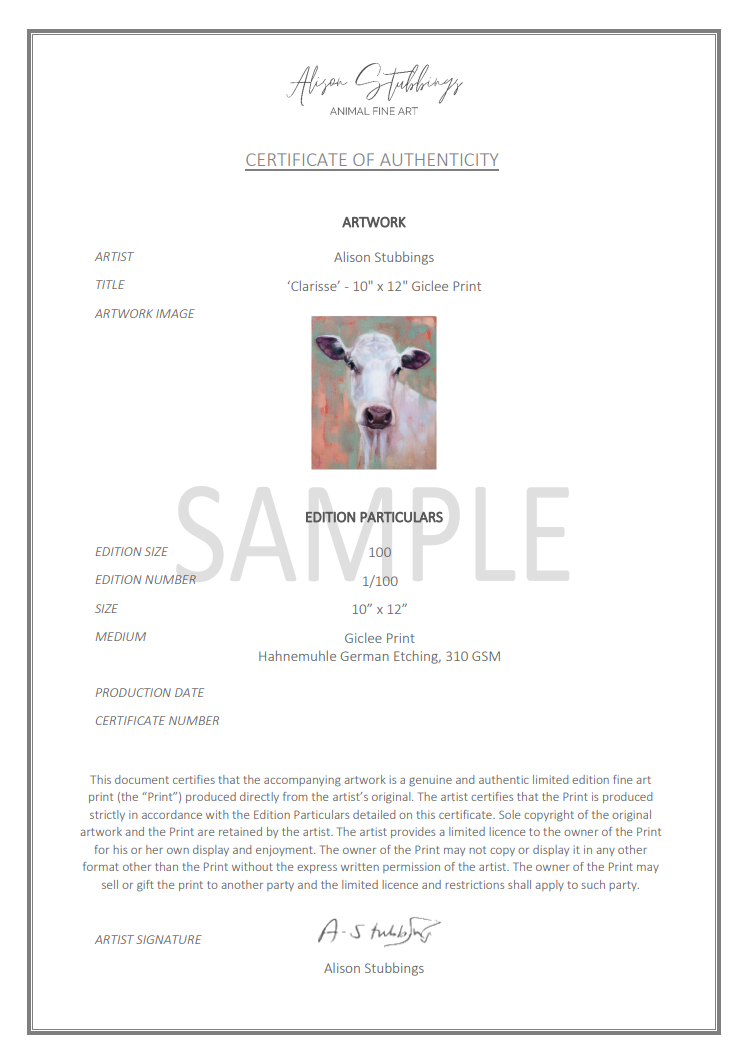 White Dairy Cow - 'Clarisse' - 10" x 12" Fine Art Print