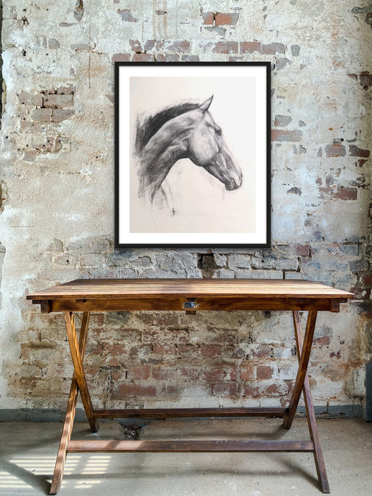 Original Horse Charcoal Drawing