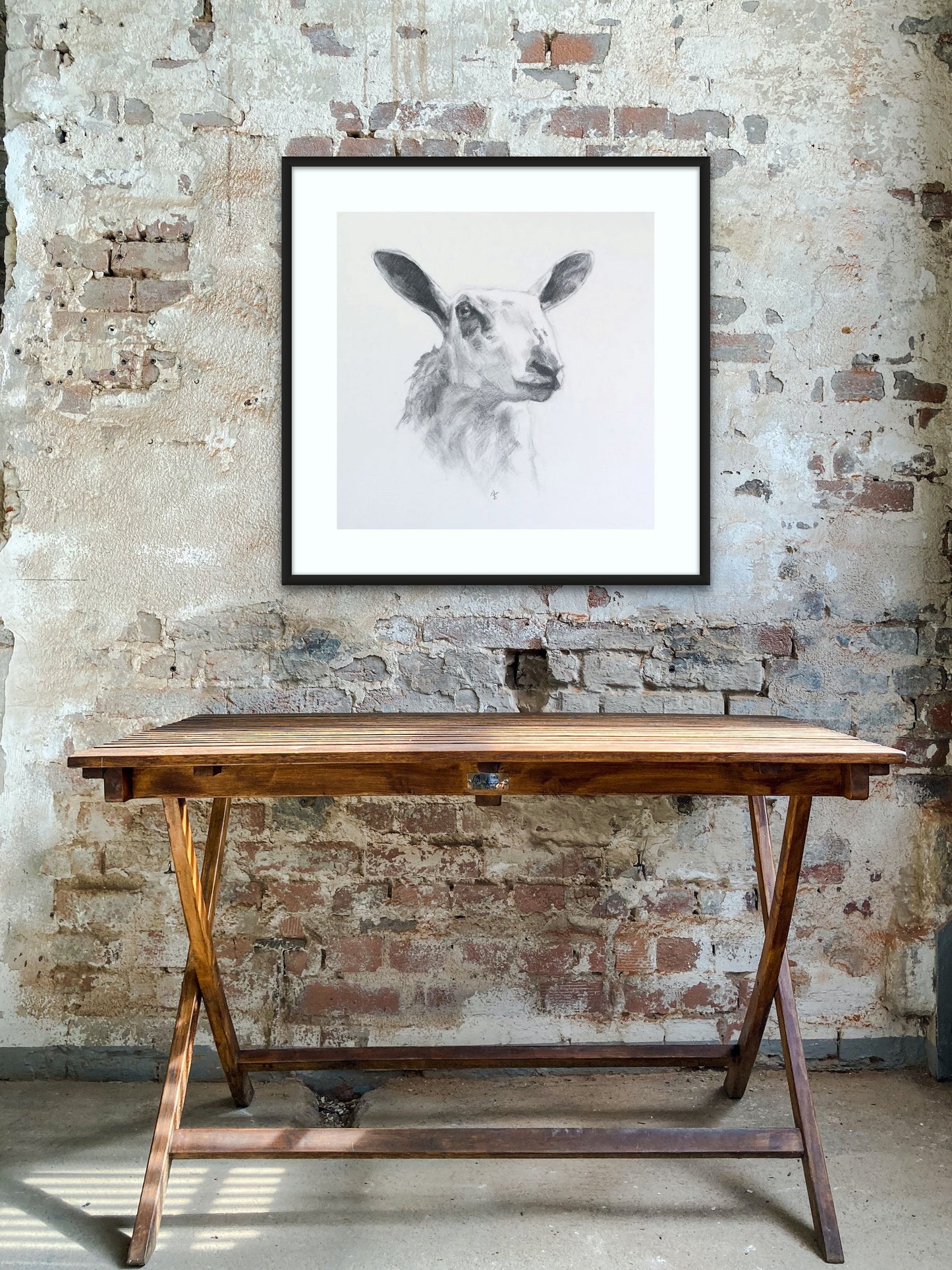 Original Charcoal Drawing - Blue Faced Leicester Sheep