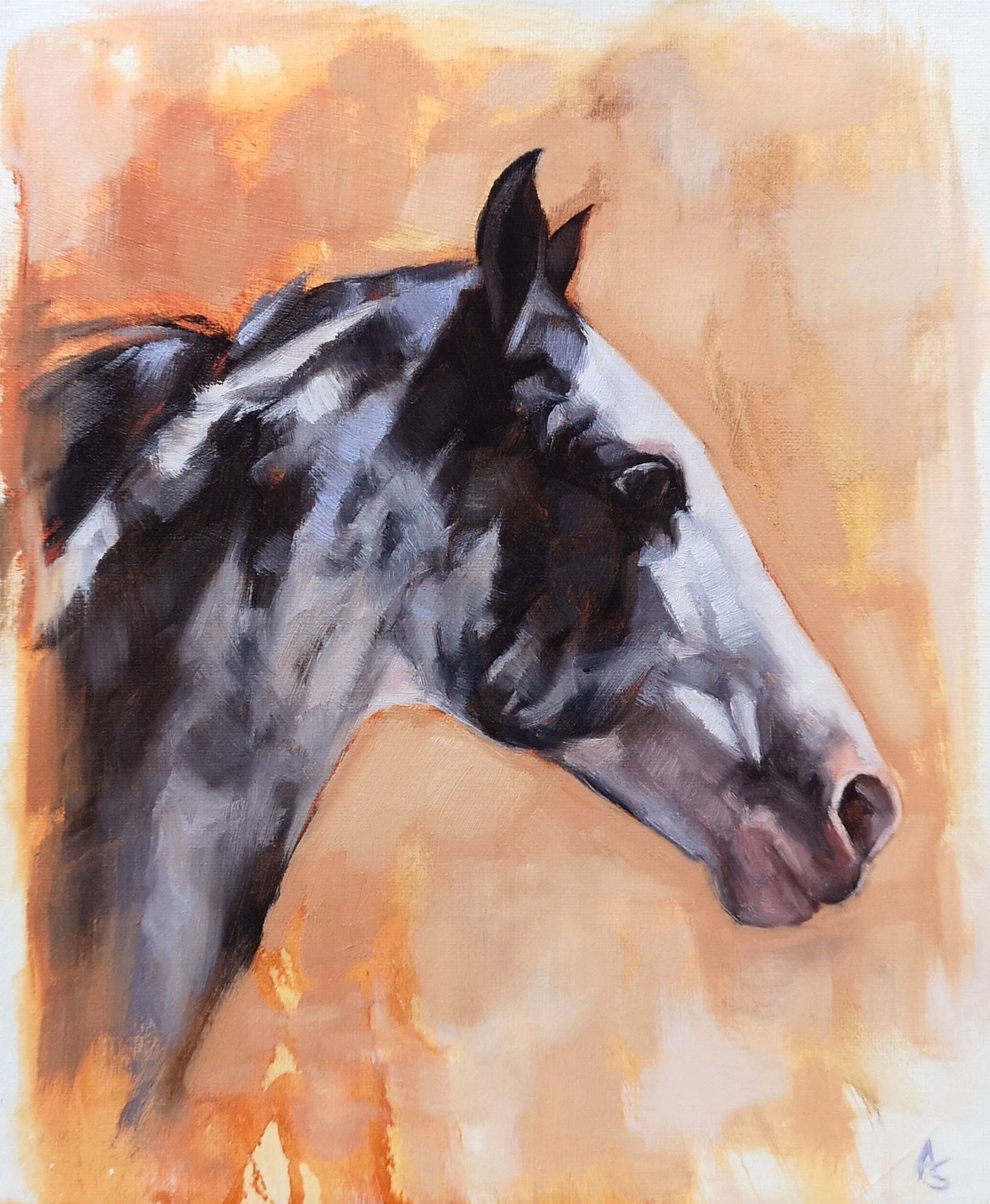 'Paint Horse'- Original Oil Painting