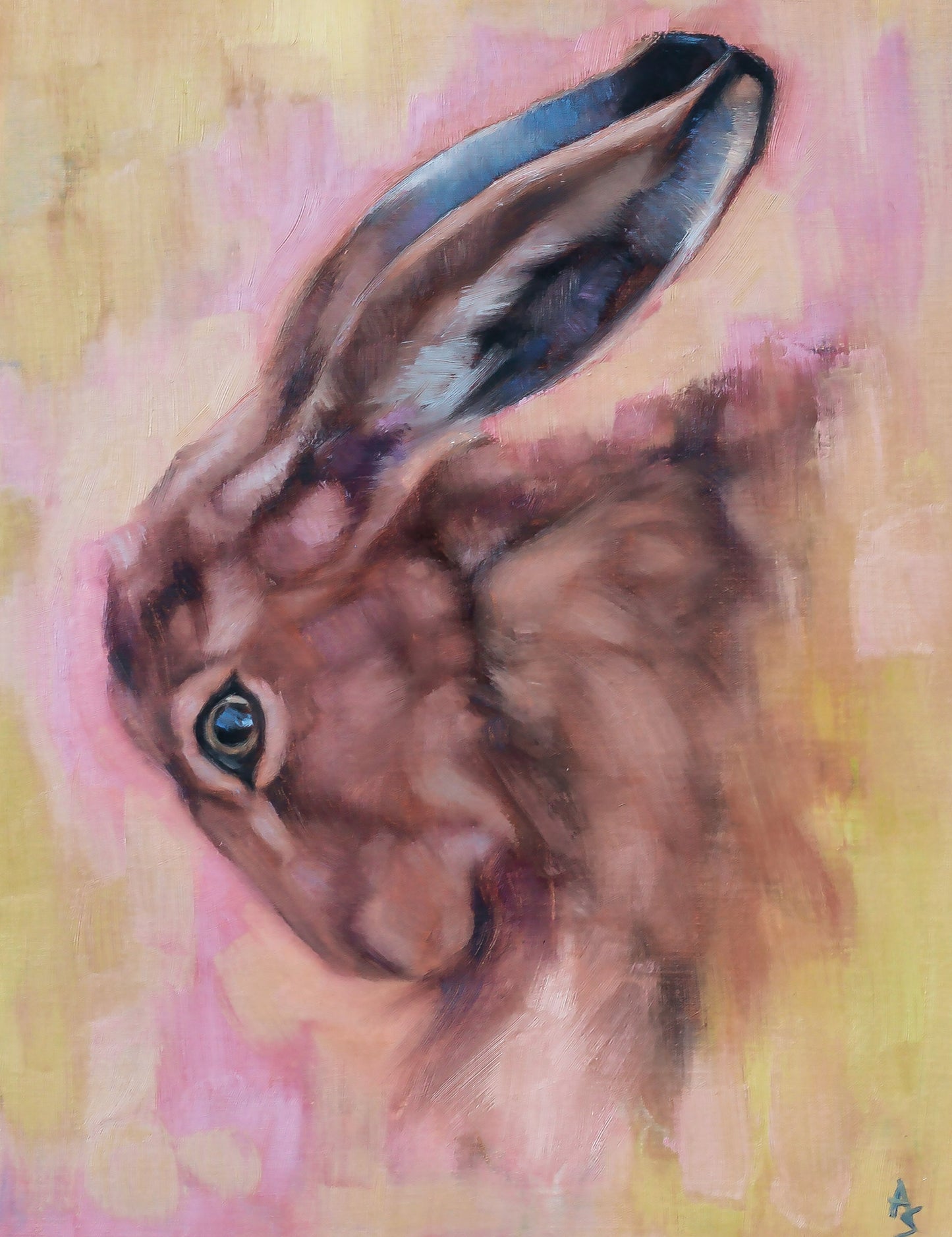 'Bunny Hare' - 11" x 14" Fine Art Print