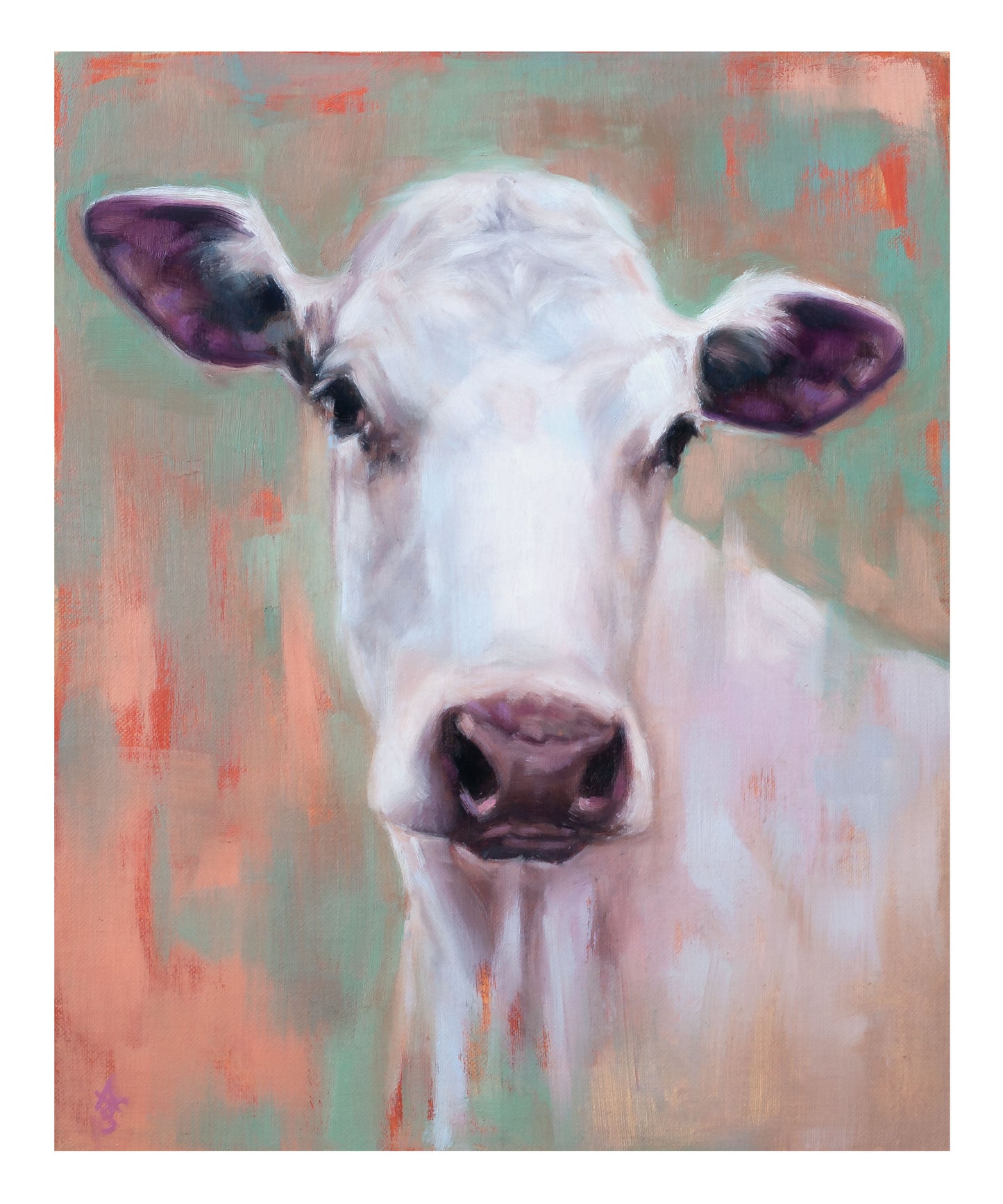 White Dairy Cow - 'Clarisse' - 10" x 12" Fine Art Print