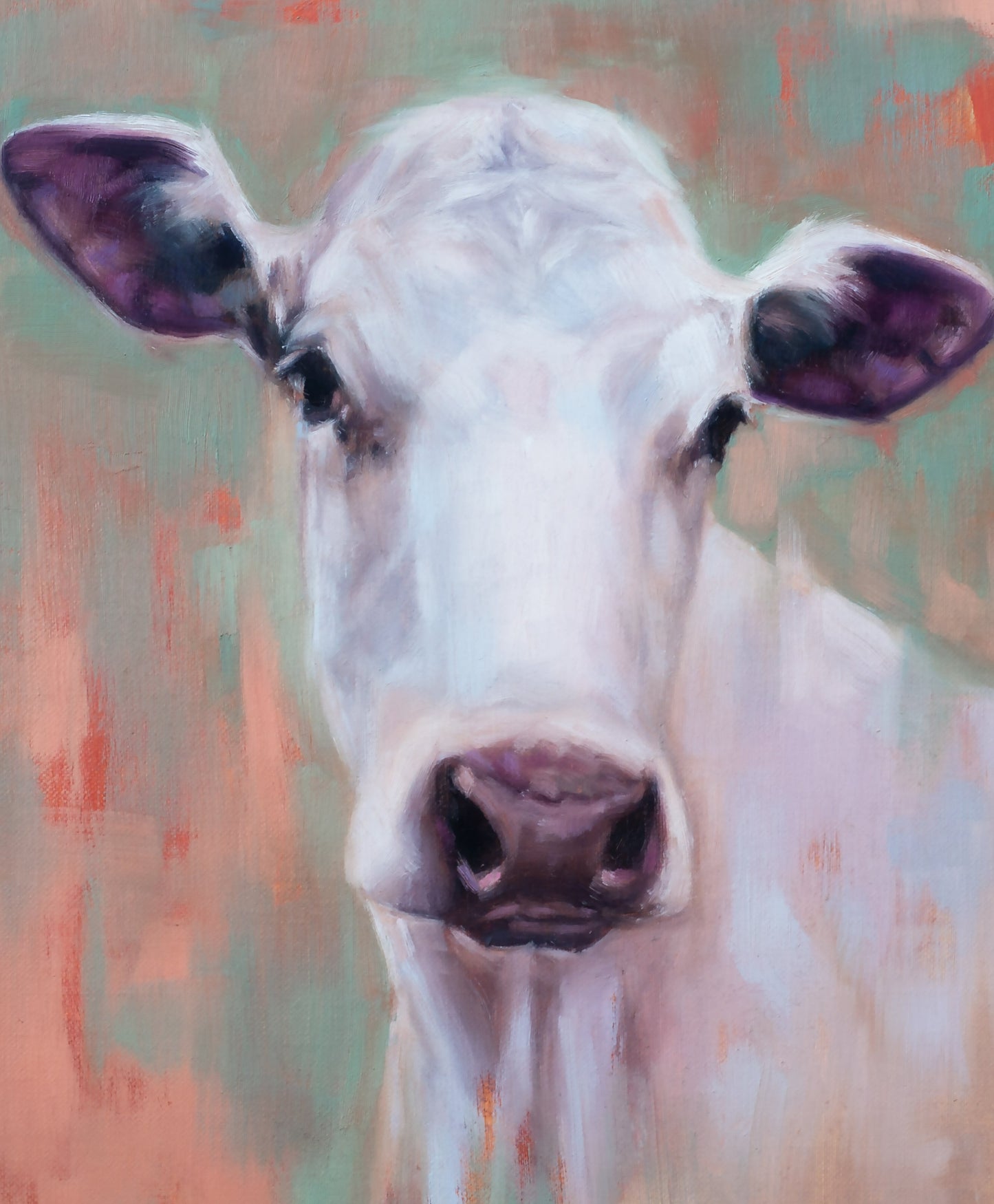 White Dairy Cow - 'Clarisse' - 10" x 12" Fine Art Print