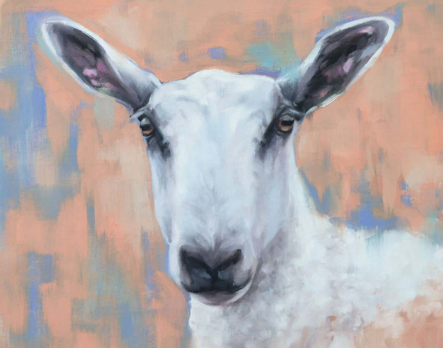 'Betty' Blue Faced Leicester Sheep - 12" x 16" Giclee Print