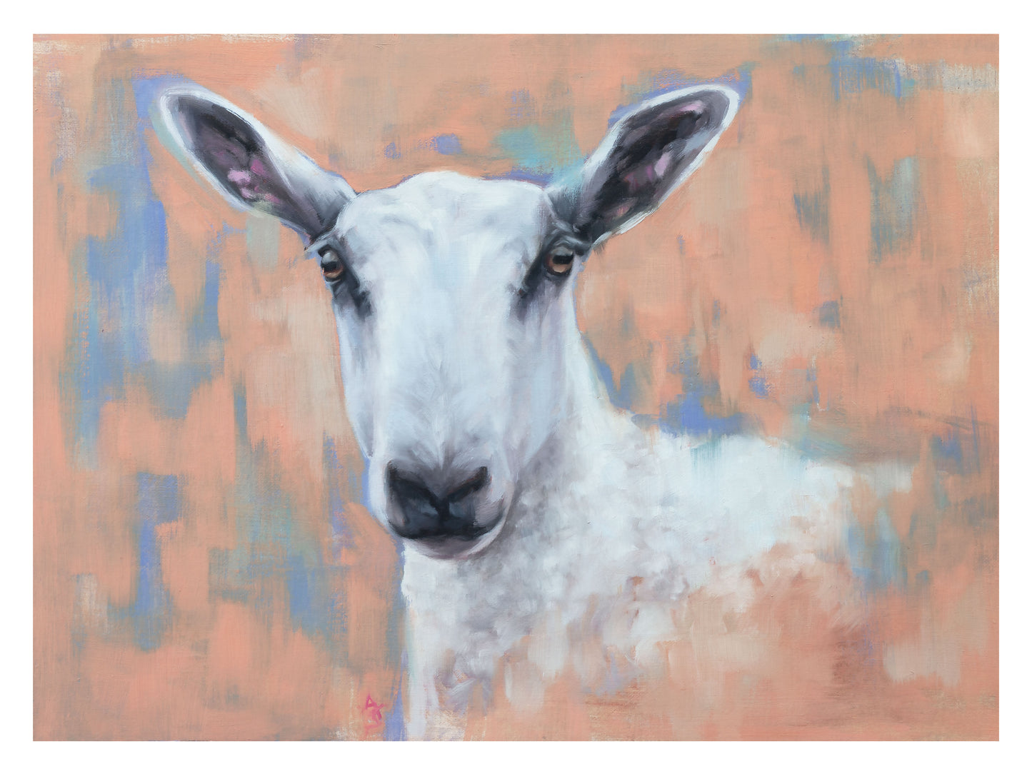 'Betty' Blue Faced Leicester Sheep - 12" x 16" Giclee Print