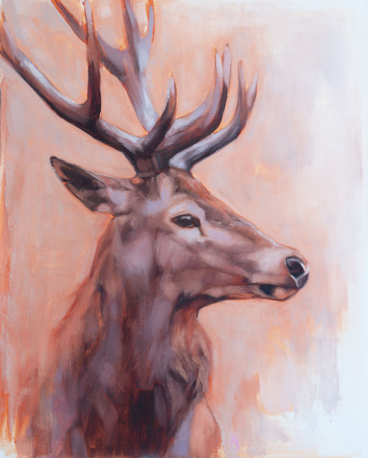 'Majestic' Red Deer Stag - Original Oil Painting