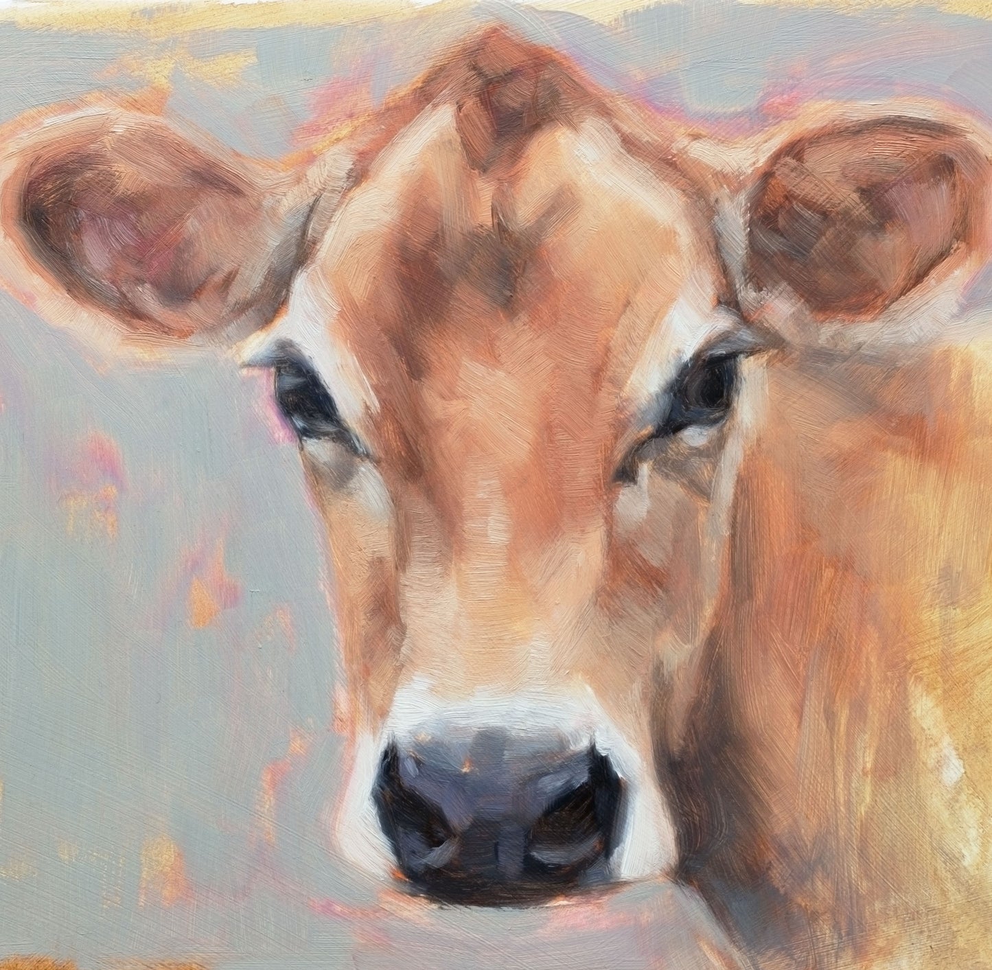 'Buttercup' Jersey Cow - 11" x 14" Giclee Print