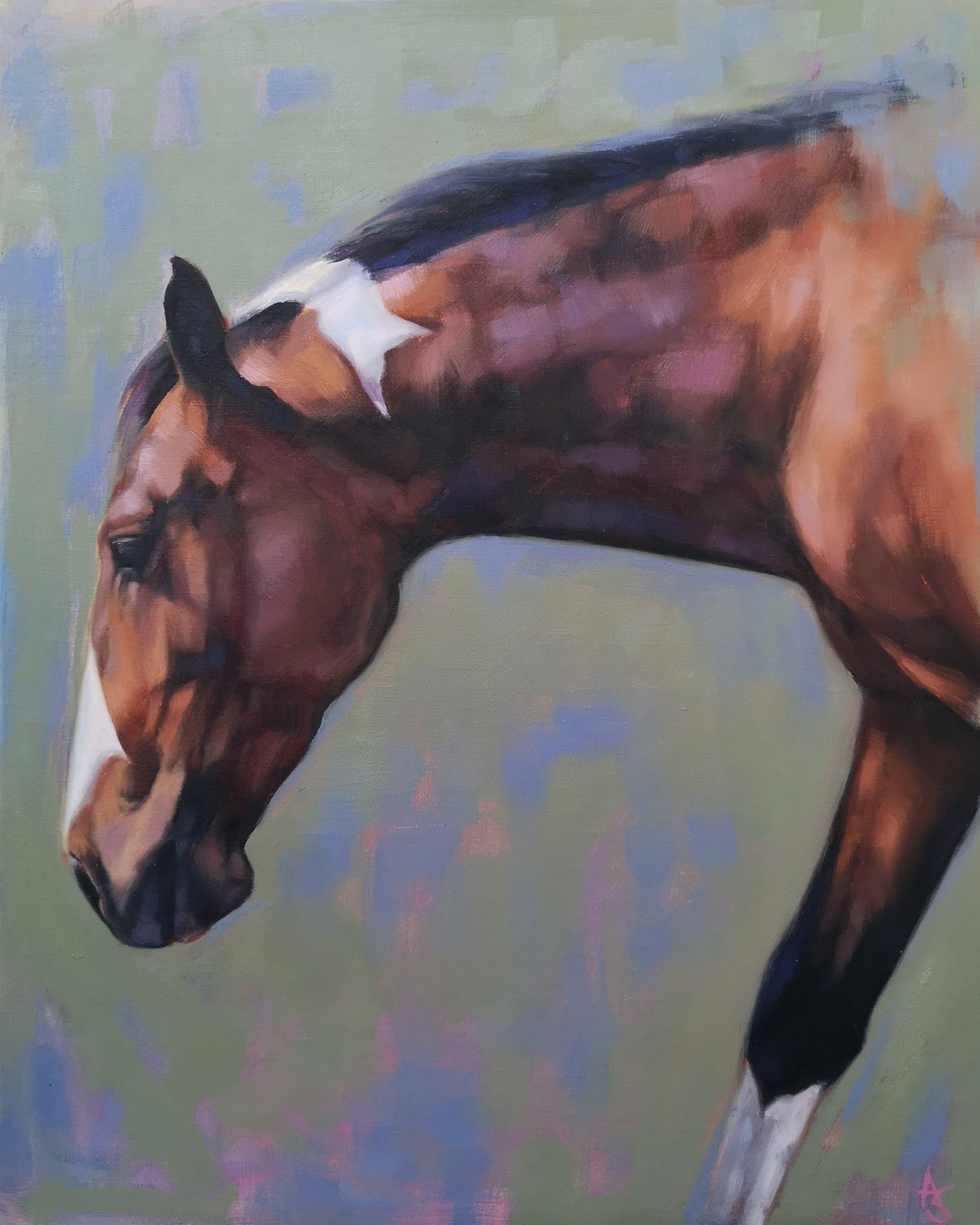 'Coloured Horse'- Original Oil Painting