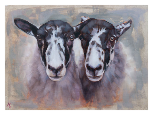 'Double Trouble' Mule Sheep - 12" x 16" Giclee Print