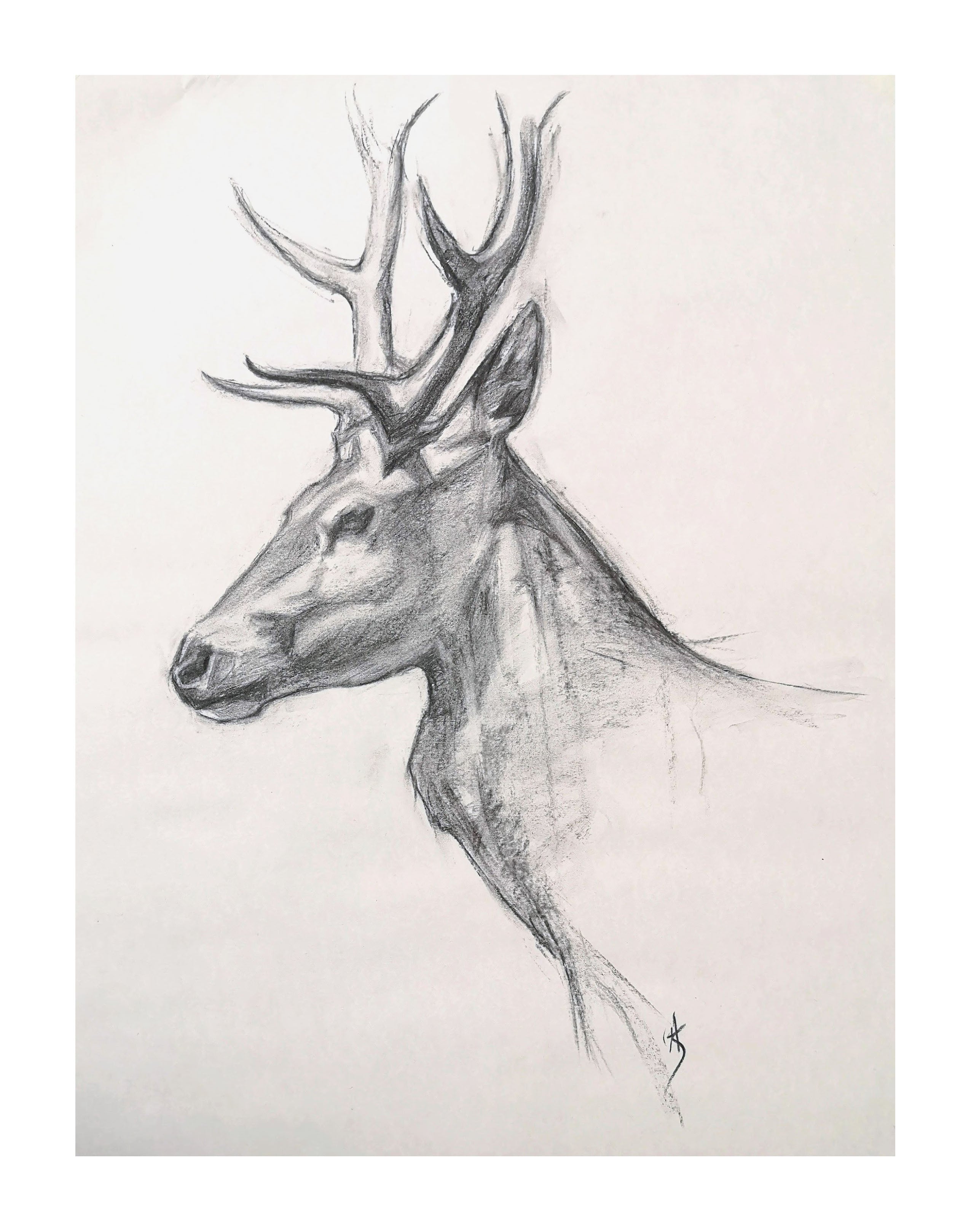 Tips To Help You Learn to Draw Animals | Craftsy | www.craftsy.com
